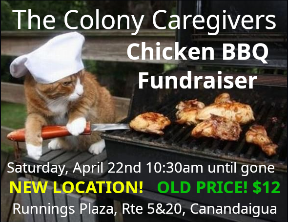 Colony caregivers sales